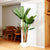 Tropical Mirage Greenery - Artificial Banana Tree 6 Feet Tall (without pot)