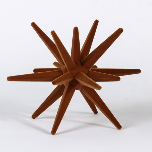 Brown star-shaped object on a white background