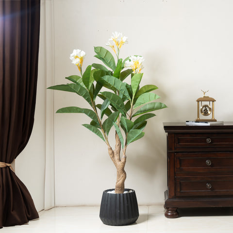 Artful Allure : ≈ 5.5 Feet Tall Artificial Frangipani Plant (Without Pot)