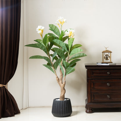 Pots Pot Noir - Black Plant Pot - 10 inch Dia