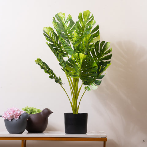 Frosty Monstera Haven - 2.5 Feet Tall Artificial Plant (with black base pot)-Style 3