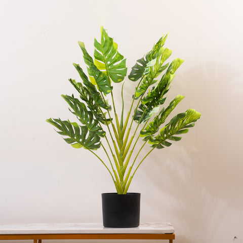 Frosty Monstera Haven - 2.5 Feet Tall Artificial Plant (with black base pot)-Style 3