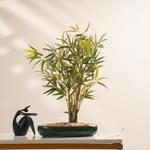 Bamboo Brilliance: ≈ 1.5 Feet Artificial Plant Bamboo Plant (With Ceramic Pot)