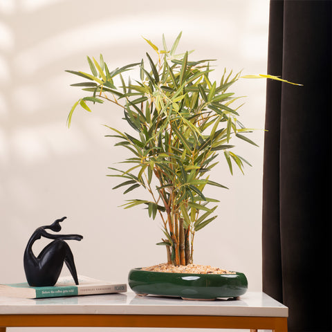 Bamboo Brilliance: ≈ 1.5 Feet Artificial Plant Bamboo Plant (With Ceramic Pot)