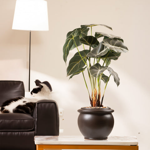 Botanical Beauty: ≈ 2 Feet Tall Artificial Alocasia Plant (with ceramic pot)