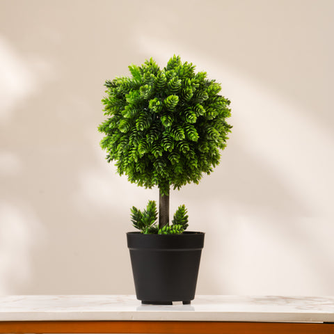Majestic Meadow ≈ 1.5 Feet  Artificial Pine Plant (With Black Plastic Base Pot)
