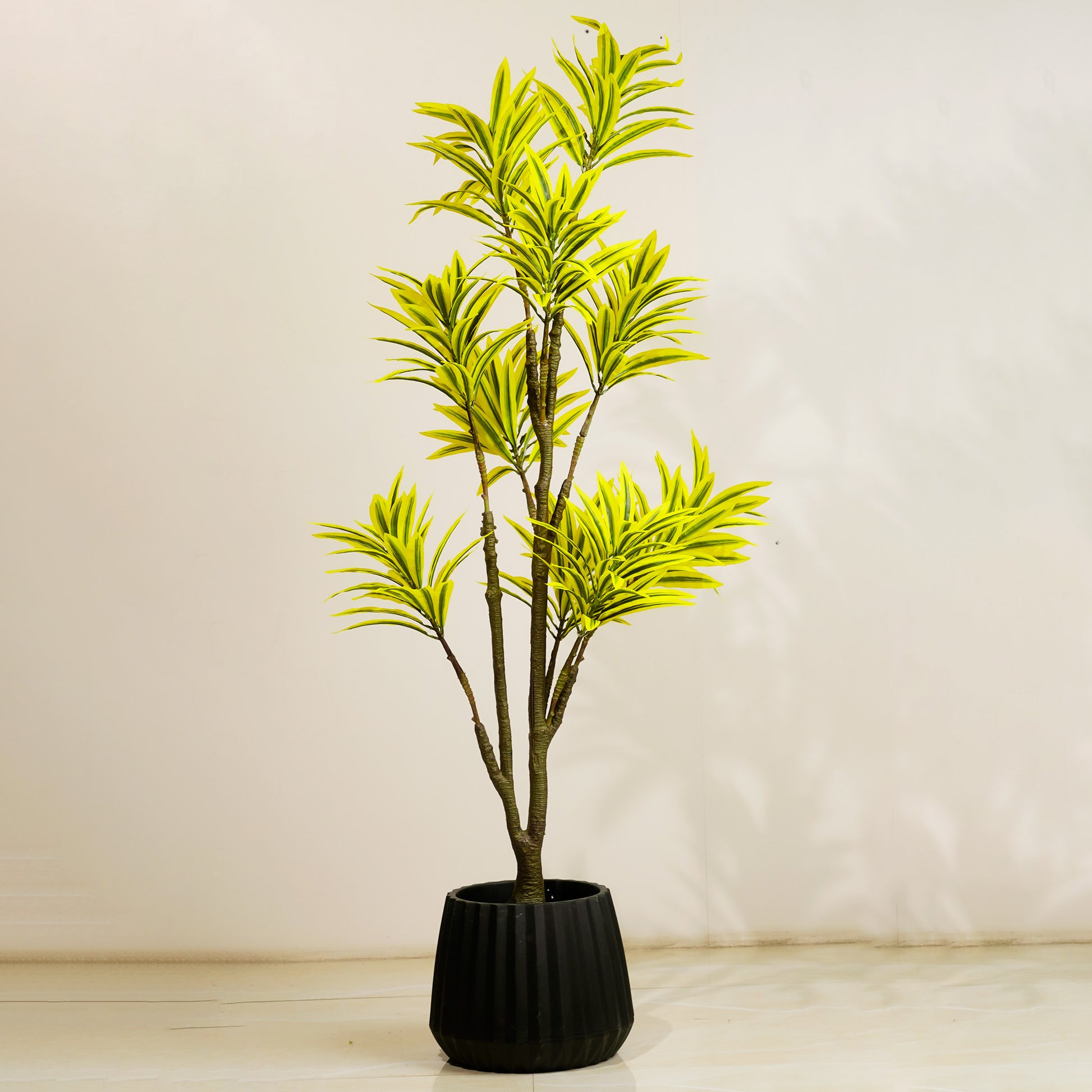 Artificial Trees/Plants Song of India - 5 Feet Tall Artificial Dracaena Reflexa Plant