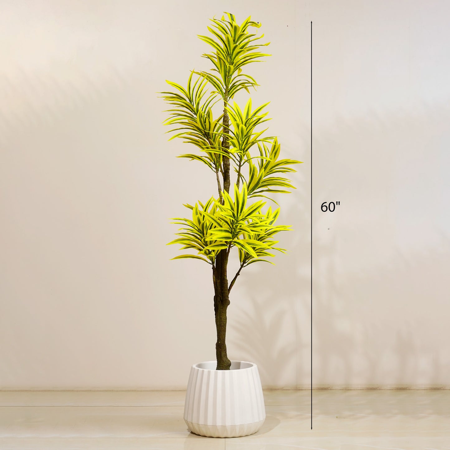 Artificial Trees/Plants Song of India - 5 Feet Tall Artificial Dracaena Reflexa Plant