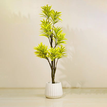 Artificial Trees/Plants Song of India - 5 Feet Tall Artificial Dracaena Reflexa Plant