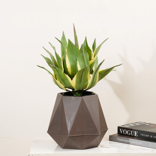 Artificial Trees/Plants Desert Elegance - 1.5 Feet Tall Artificial Agave Plant