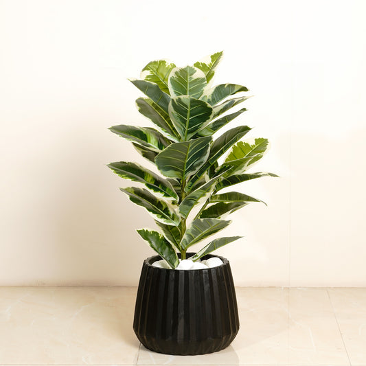Artificial Trees/Plants Gleaming Foliage - 2.5 Feet Tall Rubber Artificial Plant