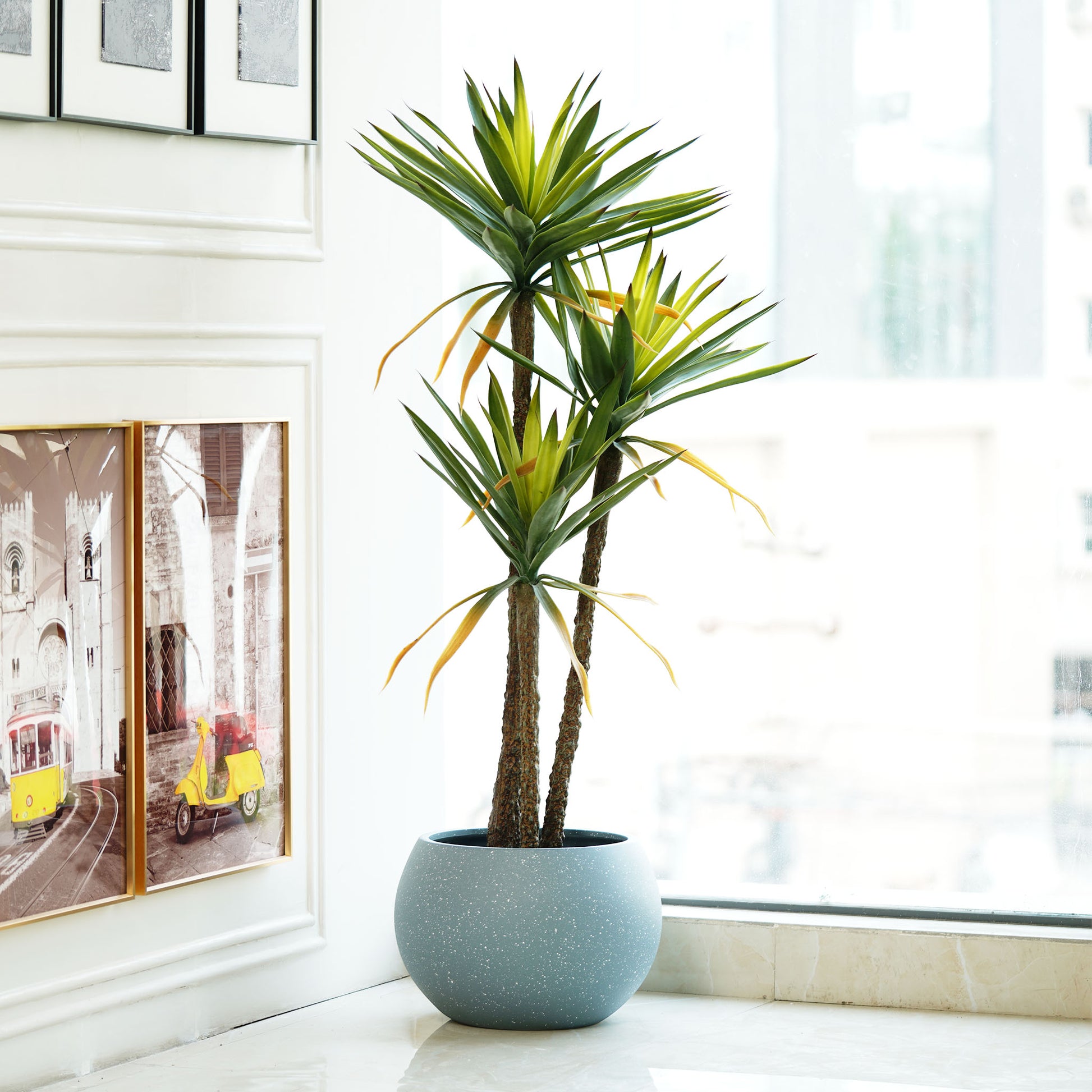 Artificial Trees/Plants The Desert Bloom - Artificial 5 Feet Tall Yucca Plant with Real Touch Silicone Leaves