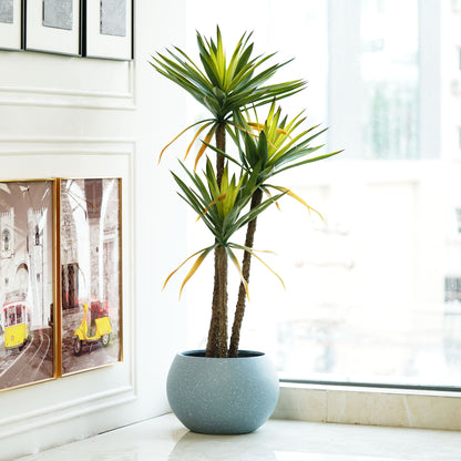Artificial Trees/Plants The Desert Bloom - Artificial 5 Feet Tall Yucca Plant with Real Touch Silicone Leaves