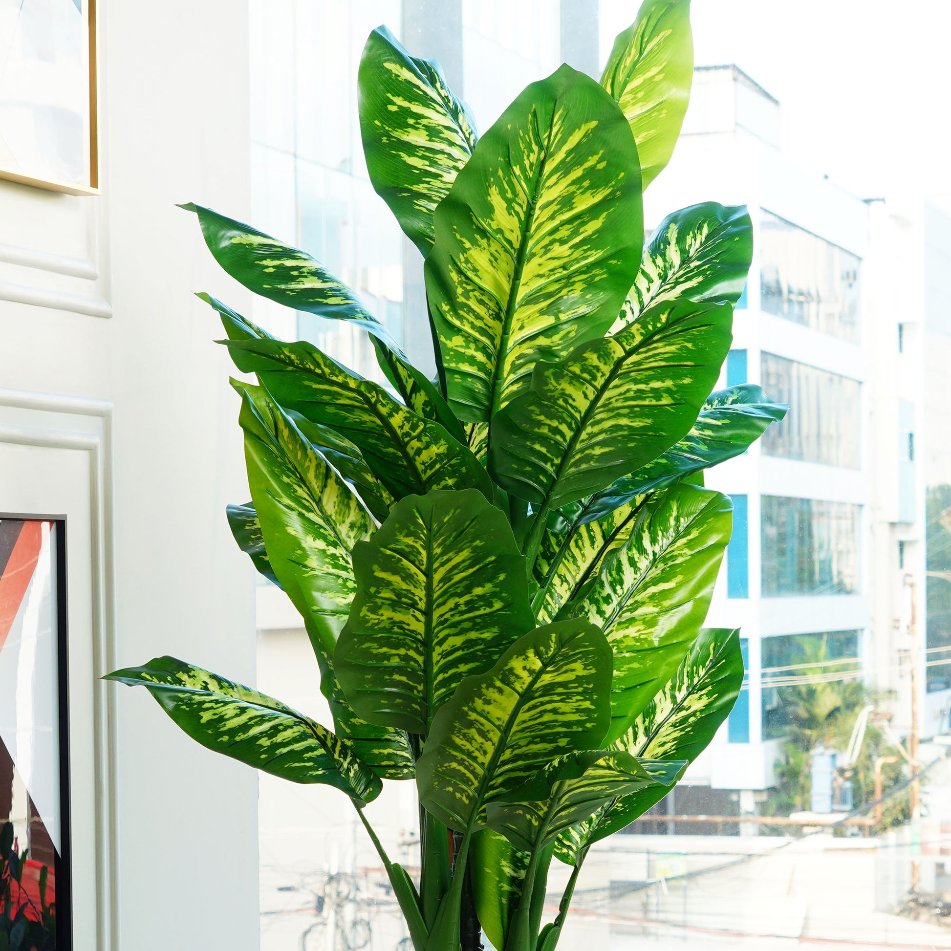 artificial dieffenbachia plants in steel planter The Abundant Beginnings: Artificial Dieffenbachia Plant
