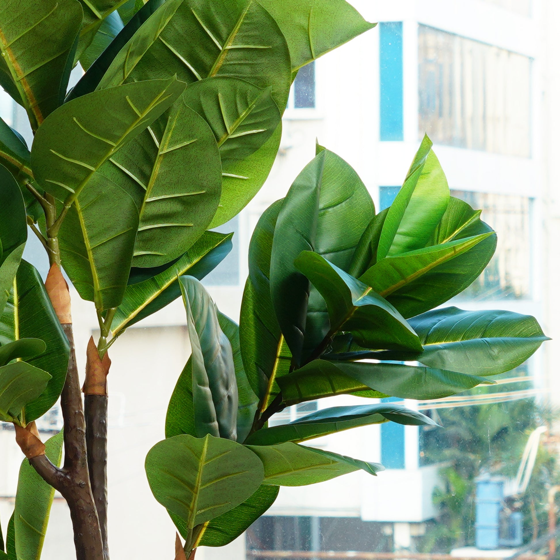 Artificial Trees/Plants The Tropical Euphoria - Artificial Rubber Plant ~ 5 Feet Tall - Style 2