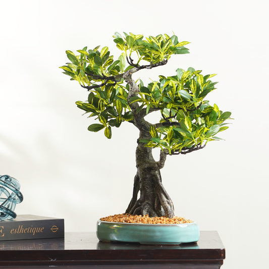 Botanic Grace- Artificial Schefflera Plant ~ 2 Feet Tall