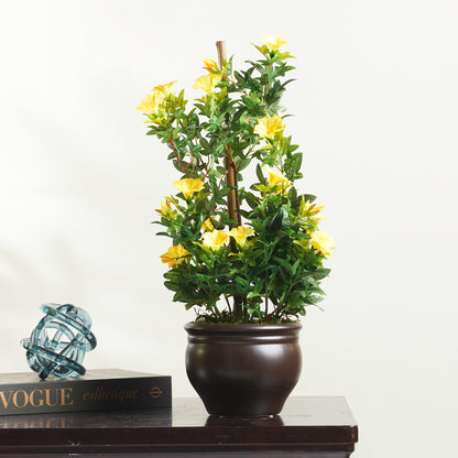 Artificial Trees/Plants Luminous Grace - Morning Glory Artificial Plant ~ 2 Feet Tall