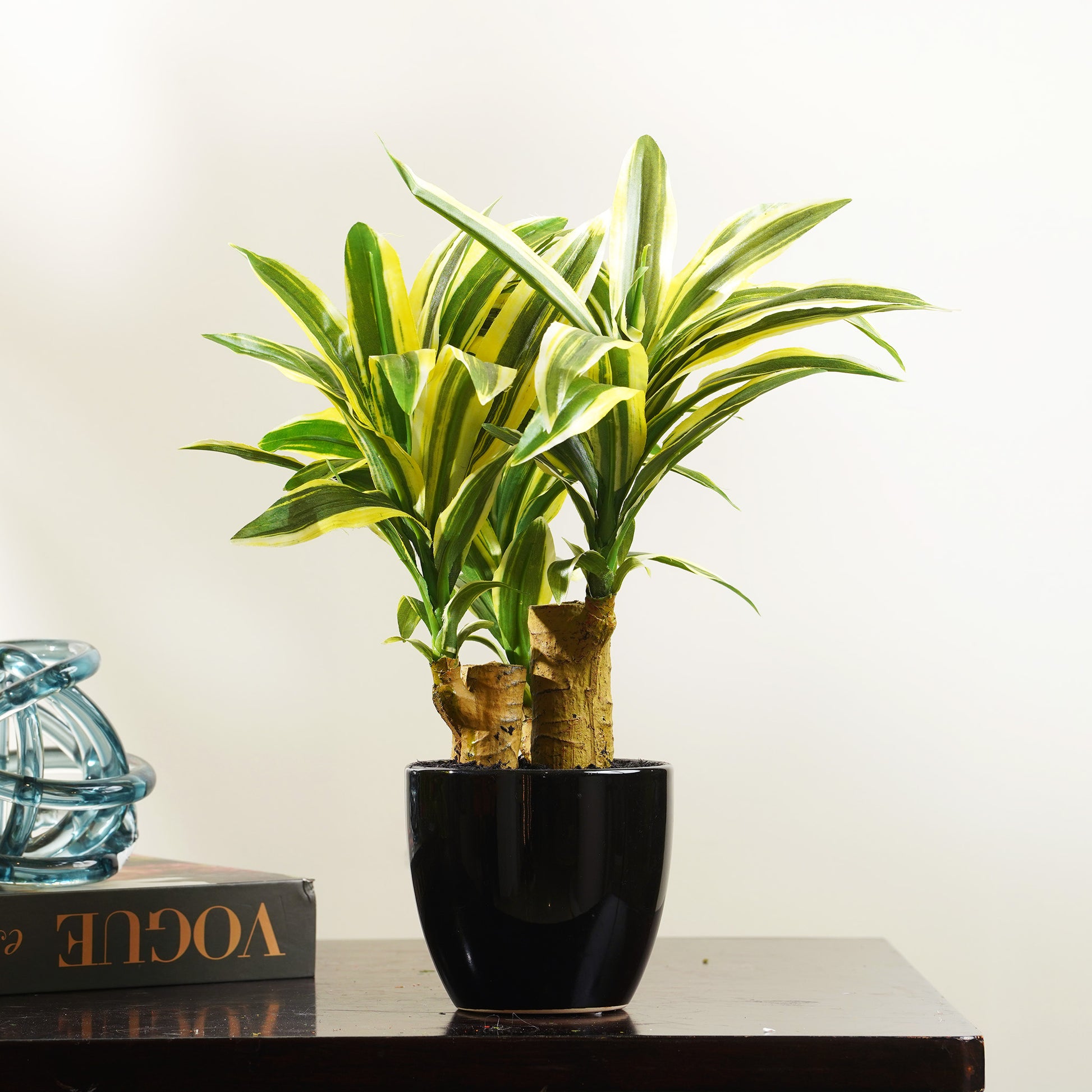 Artificial Trees/Plants Resilience Retreat - Artificial Dracaena Tree ~ 1 Feet Tall