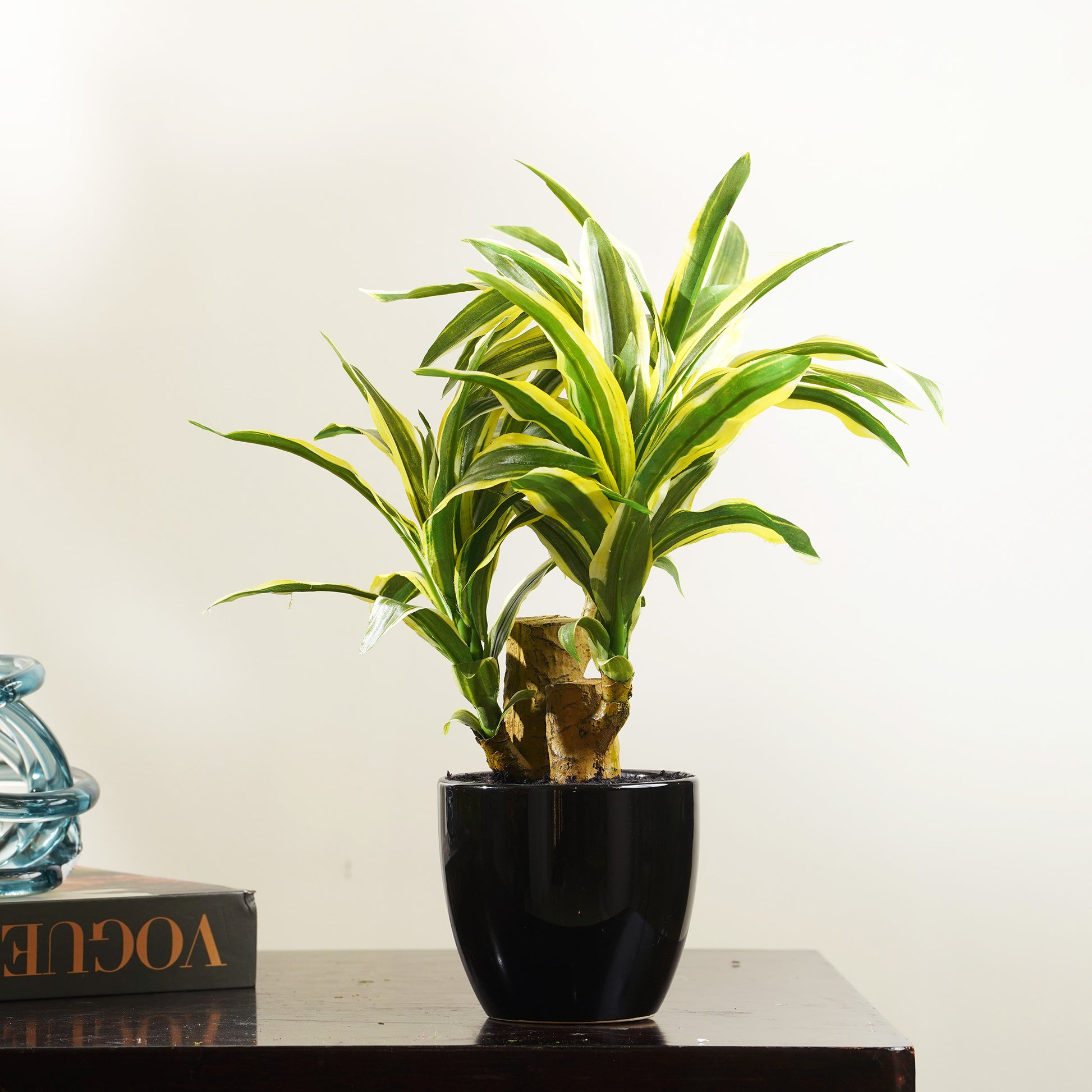 Artificial Trees/Plants Resilience Retreat - Artificial Dracaena Tree ~ 1 Feet Tall