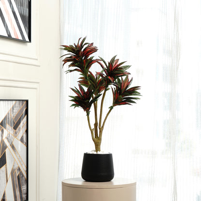 Artificial Trees/Plants Dracaena Dreamscape - Artificial Dracaena Tree ~ 3 Feet Tall
