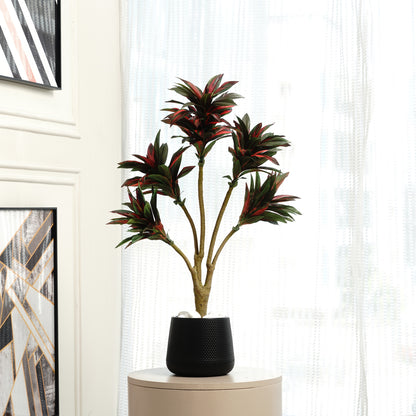 Artificial Trees/Plants Dracaena Dreamscape - Artificial Dracaena Tree ~ 3 Feet Tall
