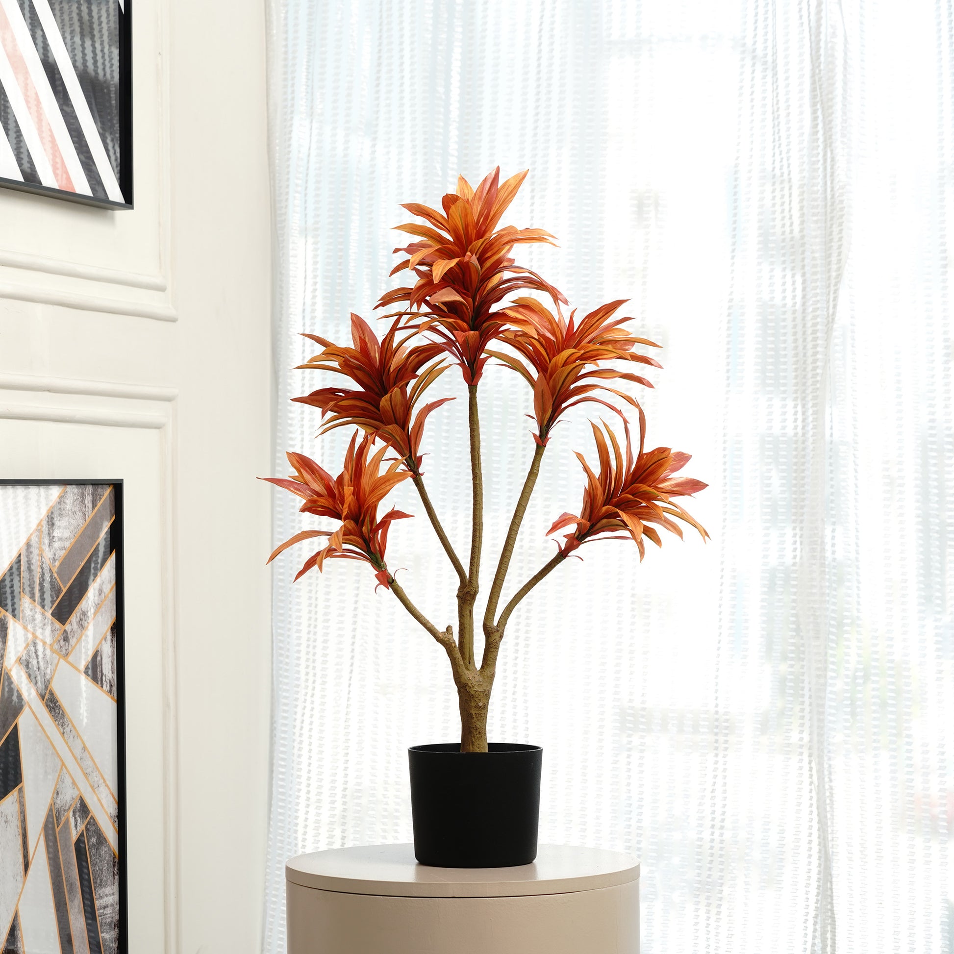 Artificial Trees/Plants Dracaena Dreamscape - Artificial Dracaena Tree ~ 3 Feet Tall