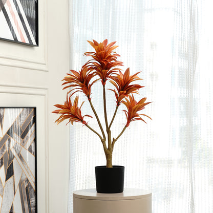 Artificial Trees/Plants Dracaena Dreamscape - Artificial Dracaena Tree ~ 3 Feet Tall