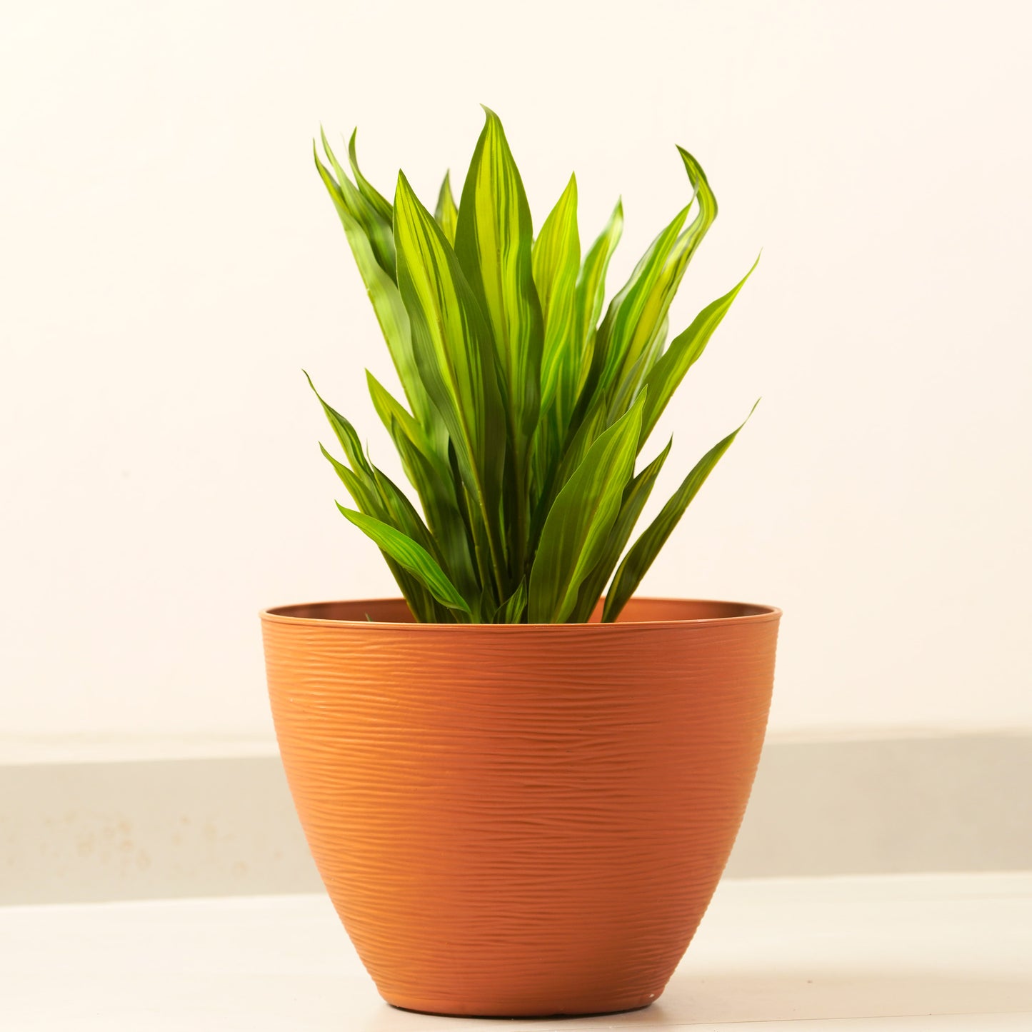 Terrane - Orange Plant Pot ( 12" x 9")