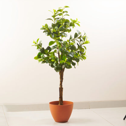 Terrane - Orange Plant Pot ( 12" x 9")