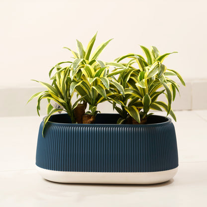 Botanica - Blue & White Plant Pot ( 7" x 16")