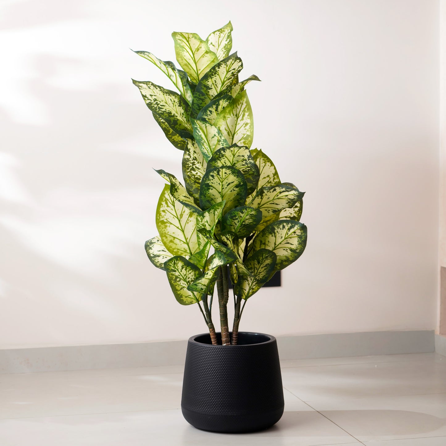 Mesa - Black Plant Pot ( 11" x 11")