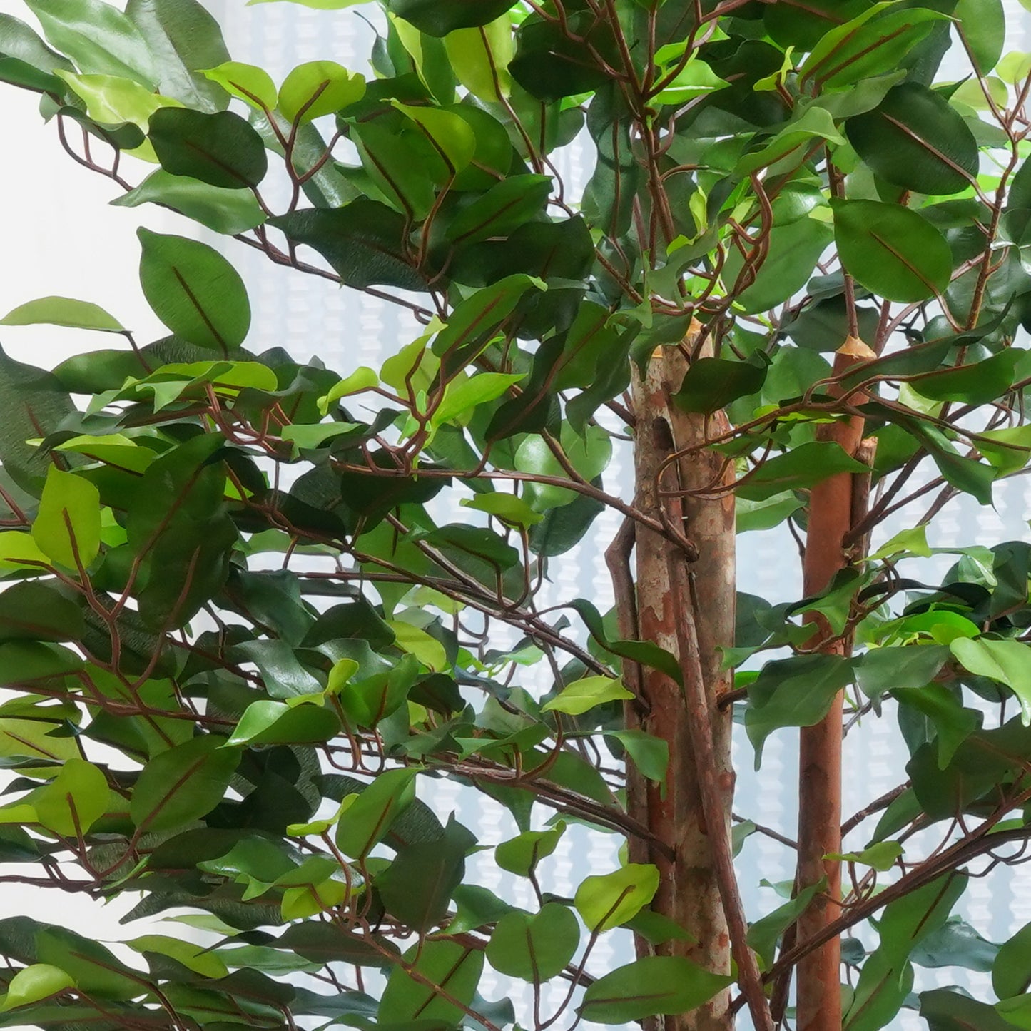 Perennia - Artificial Ficus Plant ~ 4 Feet Tall