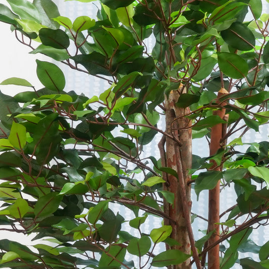 Perennia - Artificial Ficus Plant ~ 4 Feet Tall