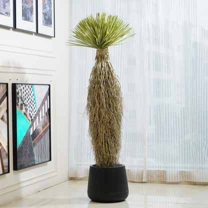 Mesa - Artificial Yucca Rostrata Plant ~ 5 Feet Tall