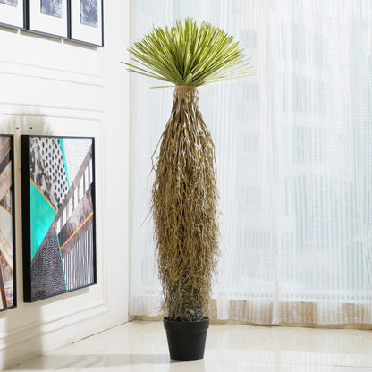 Mesa - Artificial Yucca Rostrata Plant ~ 5 Feet Tall