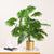 The Tropical Euphoria Artificial Chinese Fan Palm Plant/Leaves - 2.6 Feet Tall