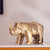 The Spirit of Vigor Ceramic Rhino Table Showpiece - Gold