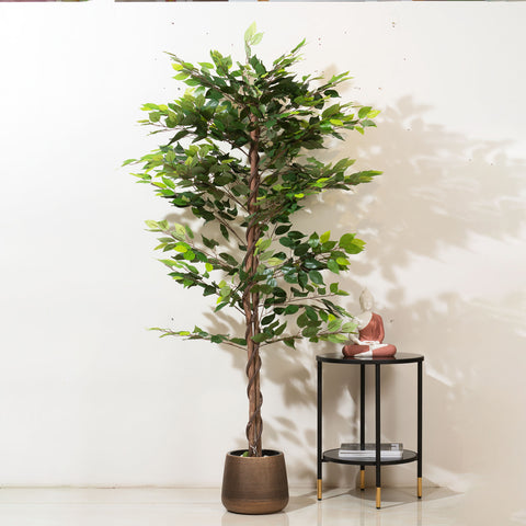 Ficus Whispers of Nature - Style 2 - 6.2 Feet Tall Artificial Ficus Plant