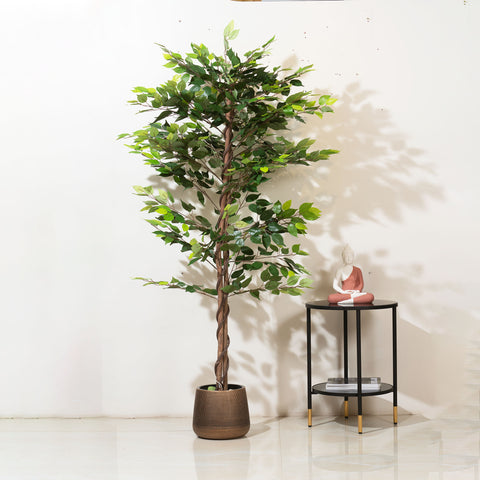 Ficus Whispers of Nature - Style 2 - 6.2 Feet Tall Artificial Ficus Plant