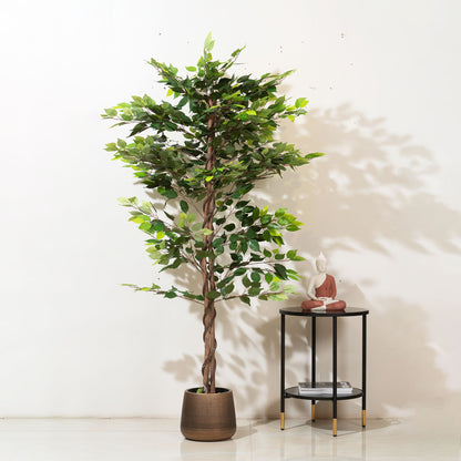 Ficus Whispers of Nature - Style 2 - 6.2 Feet Tall Artificial Ficus Plant