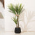The Desert Elegance Agave - 4.2 Feet Tall Agave Artificial Plant (Without Pot)