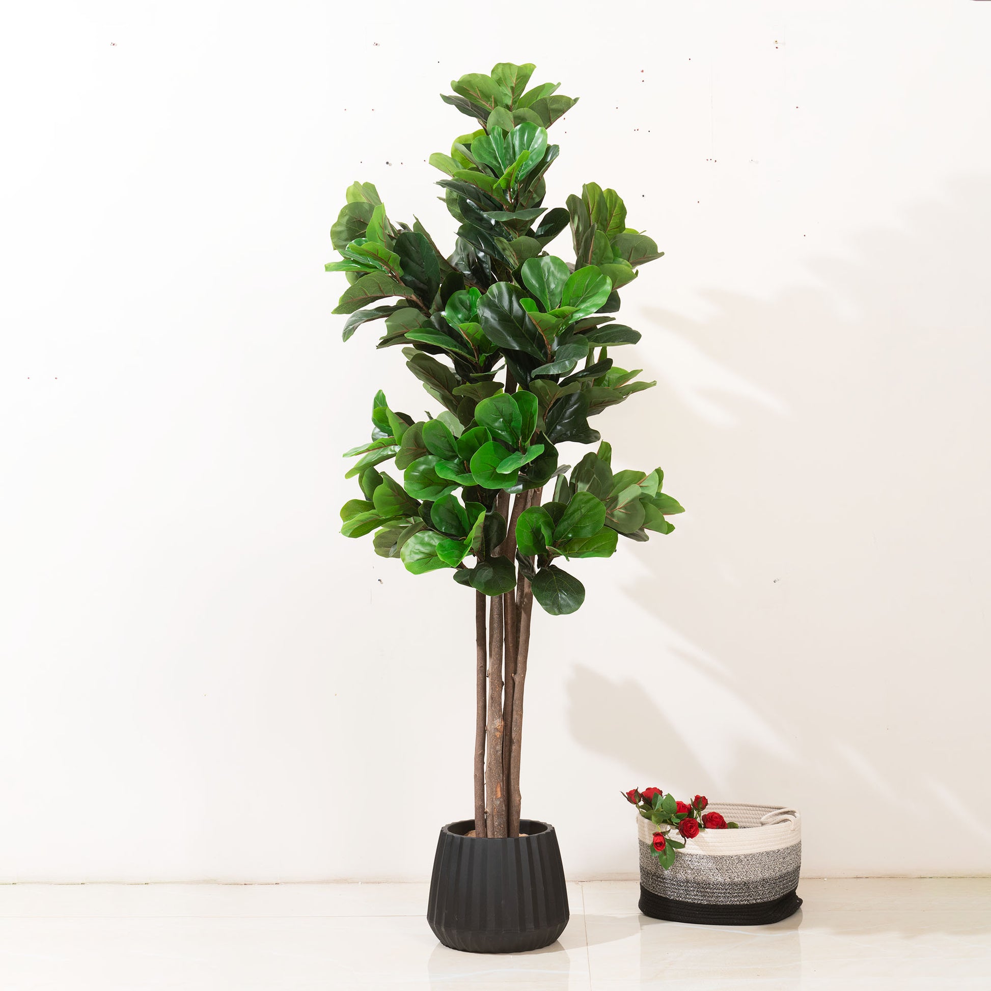 Artificial Trees/Plants Greens of Prosperity: Artificial Fiddle Leaves Plant - 6 feet Tall