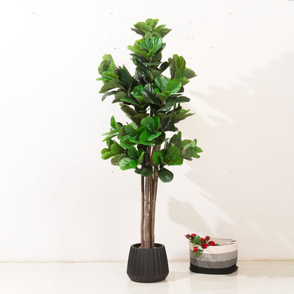 Artificial Trees/Plants Greens of Prosperity: Artificial Fiddle Leaves Plant - 6 feet Tall