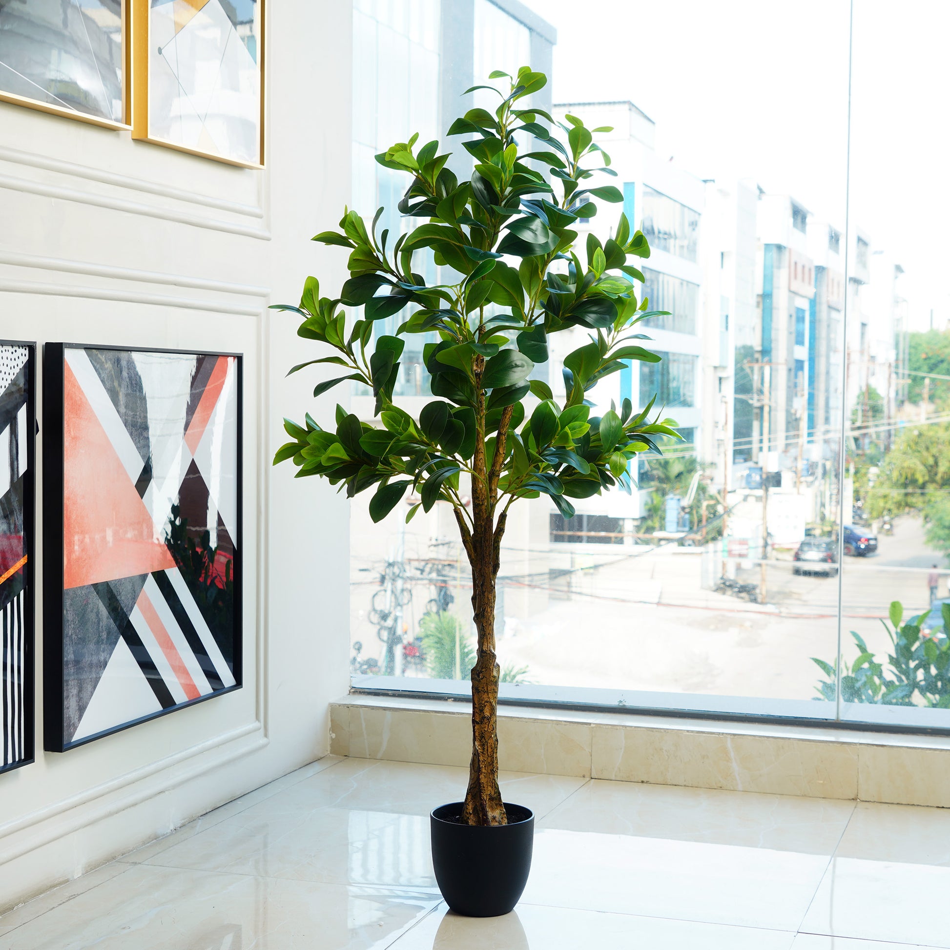 Artificial Trees/Plants Peaceful Retreat ~ 5 Feet Tall Artificial Peperomia Plant