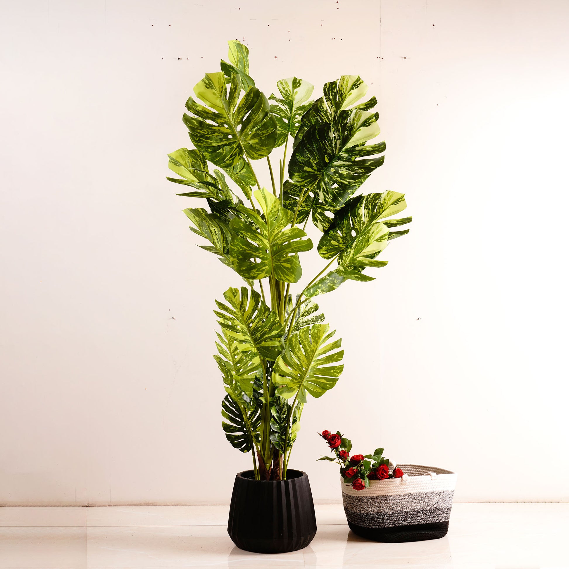 Artificial Trees/Plants Frosty Haven - Artificial Monstera Plant - 5.5 Feet Tall