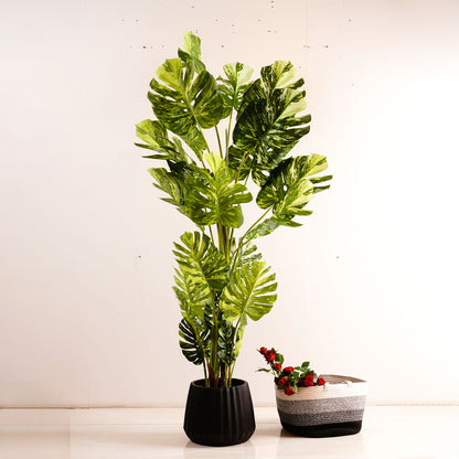 Artificial Trees/Plants Frosty Haven - Artificial Monstera Plant - 5.5 Feet Tall