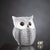Showpiece An Illuminated Awakening - Owl Table Showpiece - White